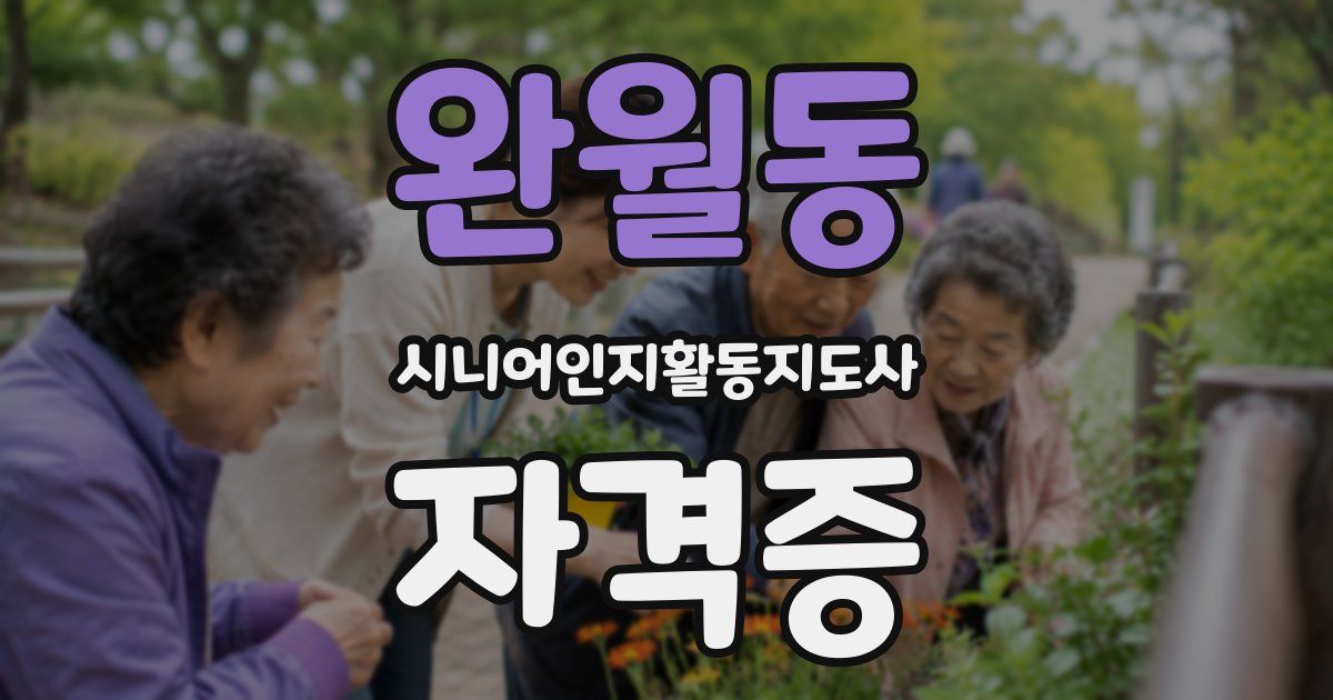 완월동 시니어인지활동지도사 자격증
