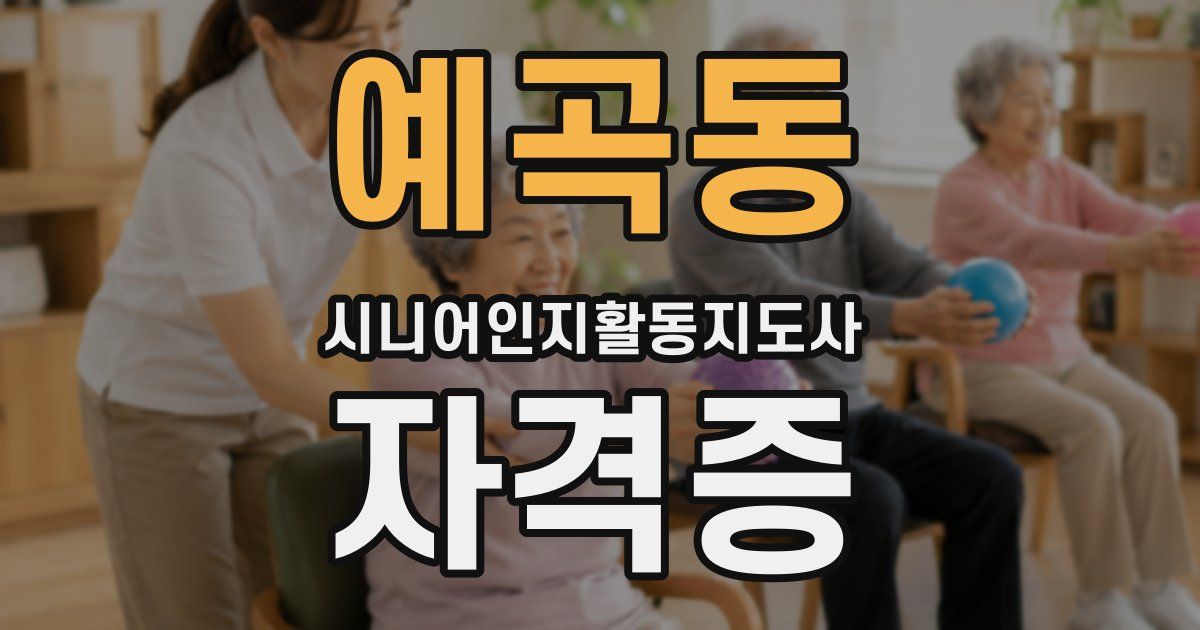 예곡동 시니어인지활동지도사 자격증