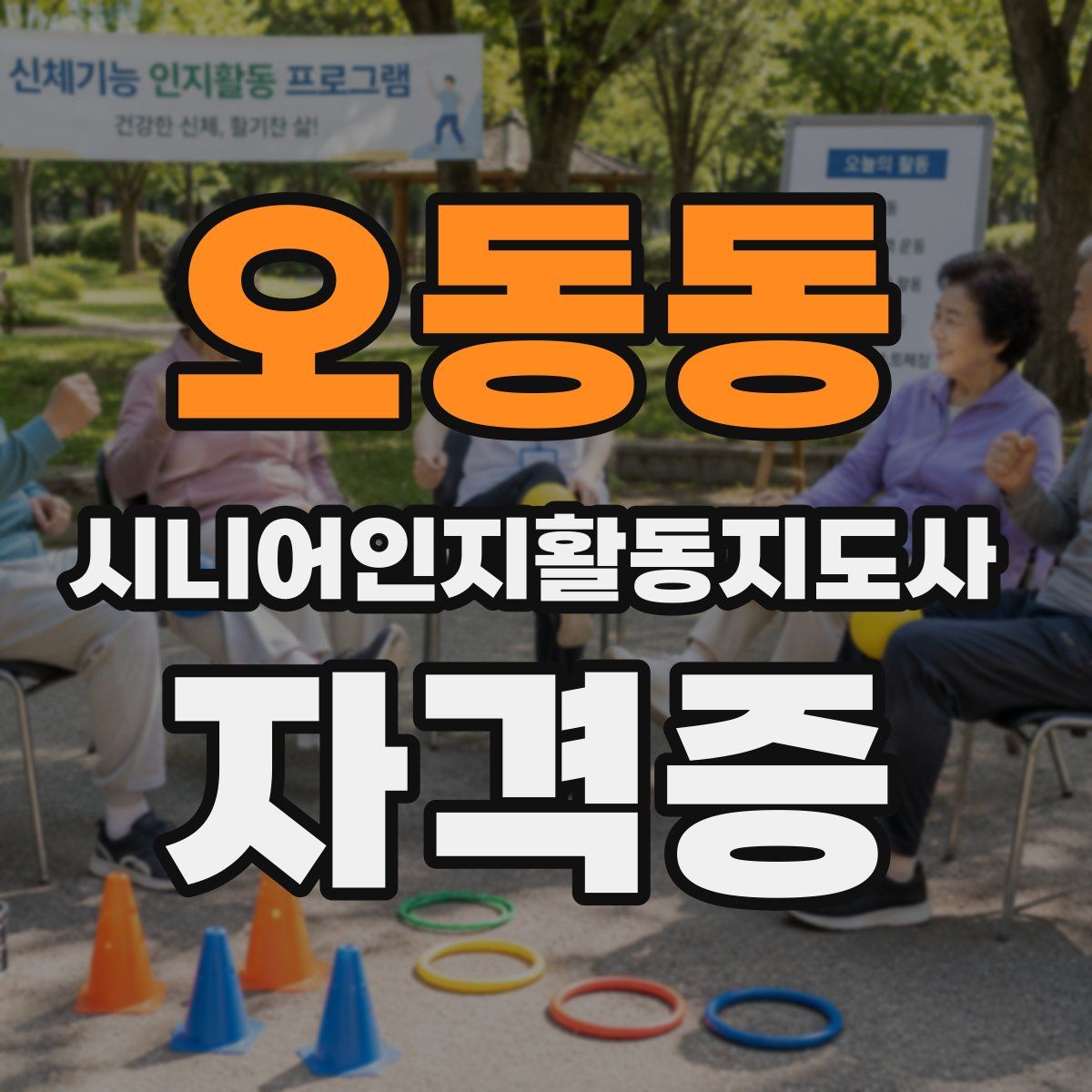 오동동 시니어인지활동지도사 자격증