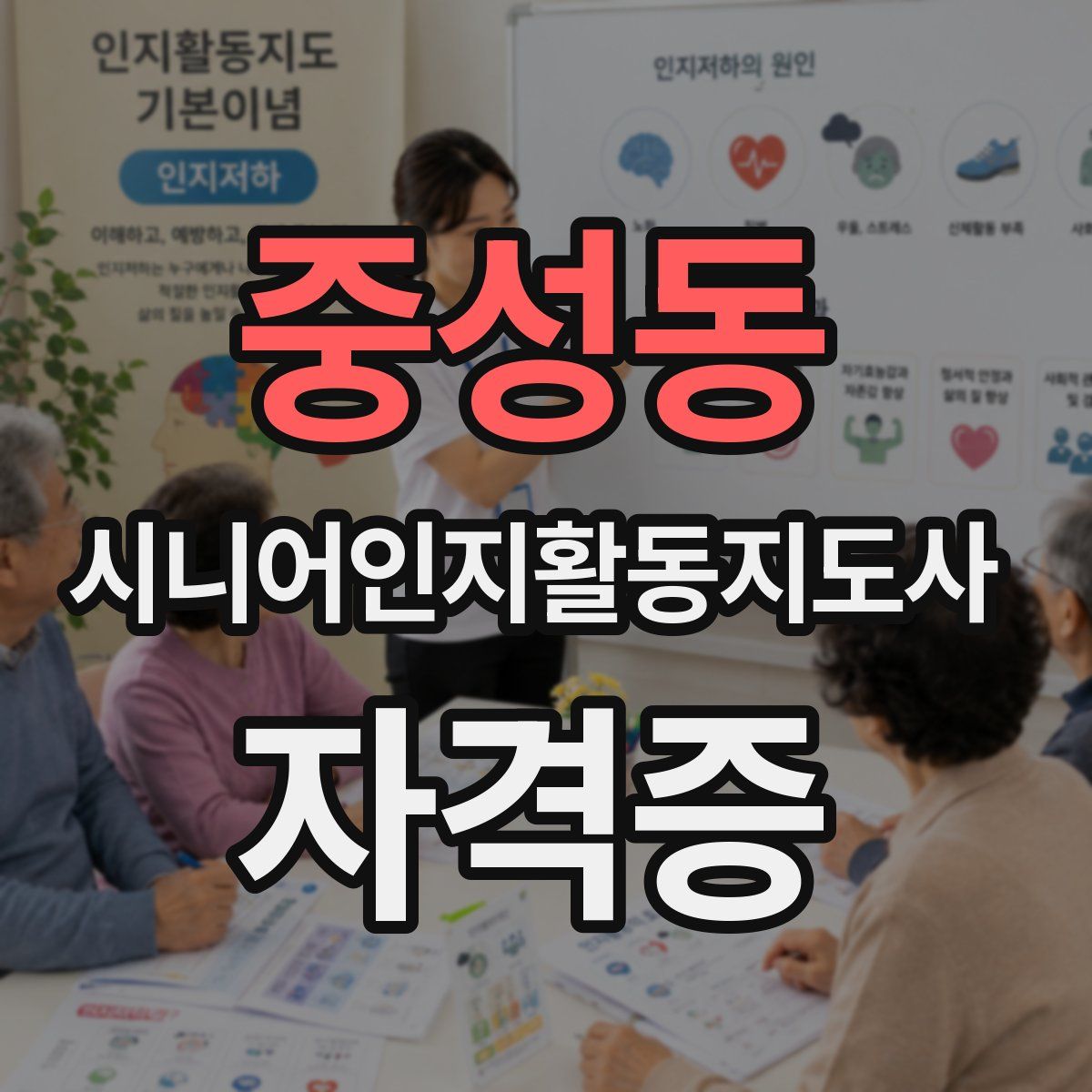 중성동 시니어인지활동지도사 자격증
