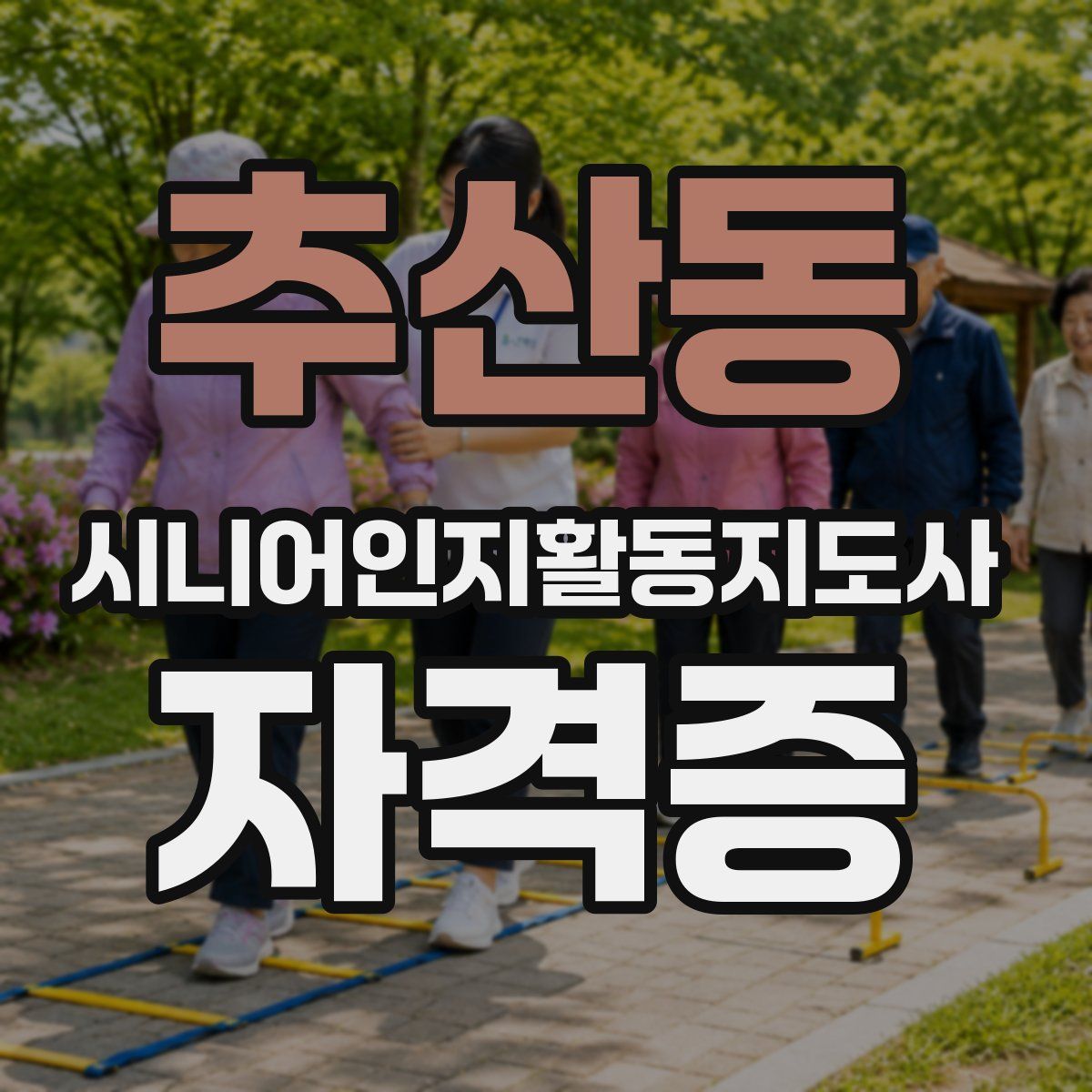 추산동 시니어인지활동지도사 자격증