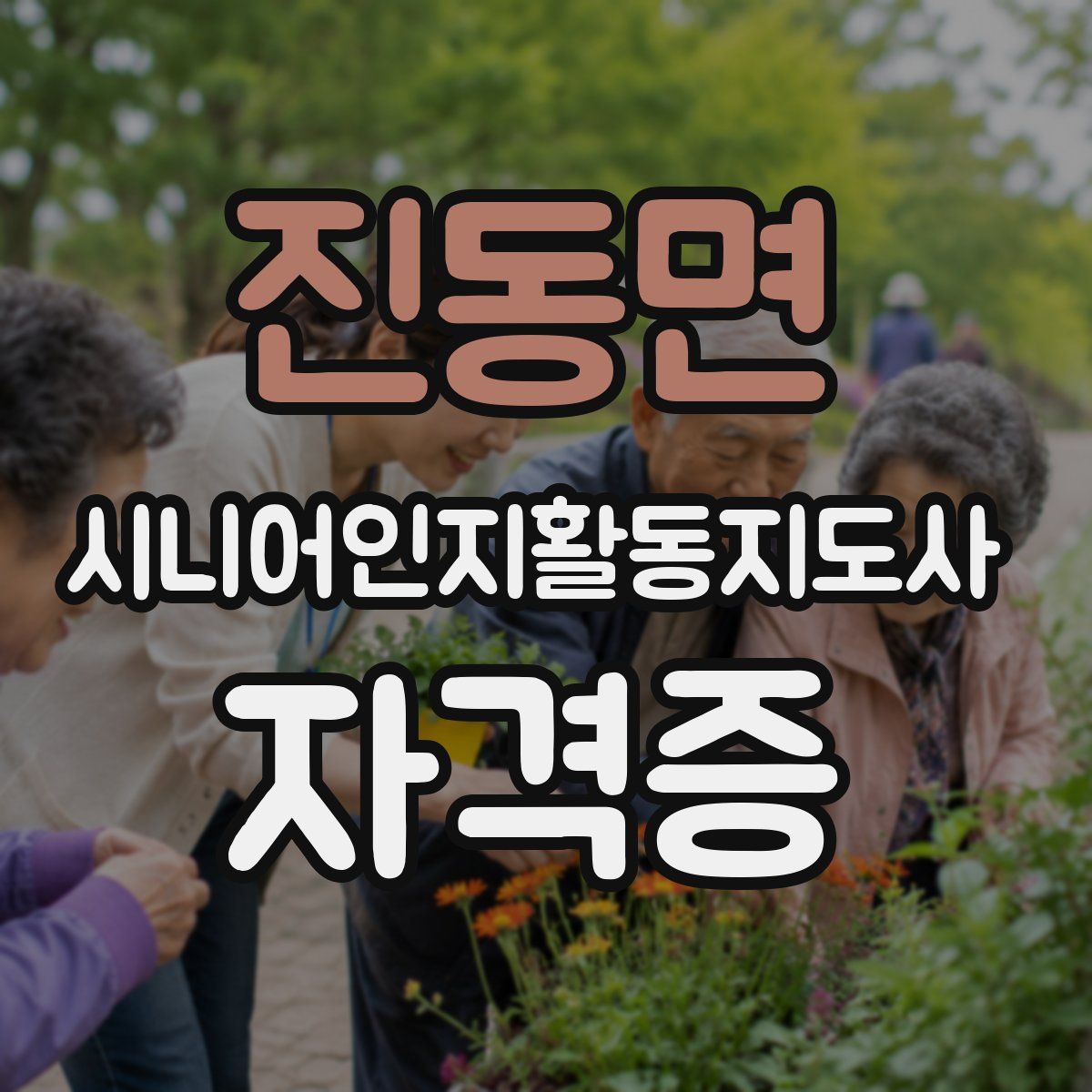 진동면 시니어인지활동지도사 자격증