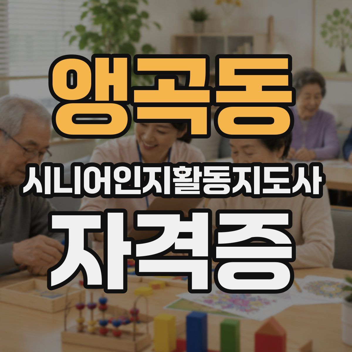 앵곡동 시니어인지활동지도사 자격증