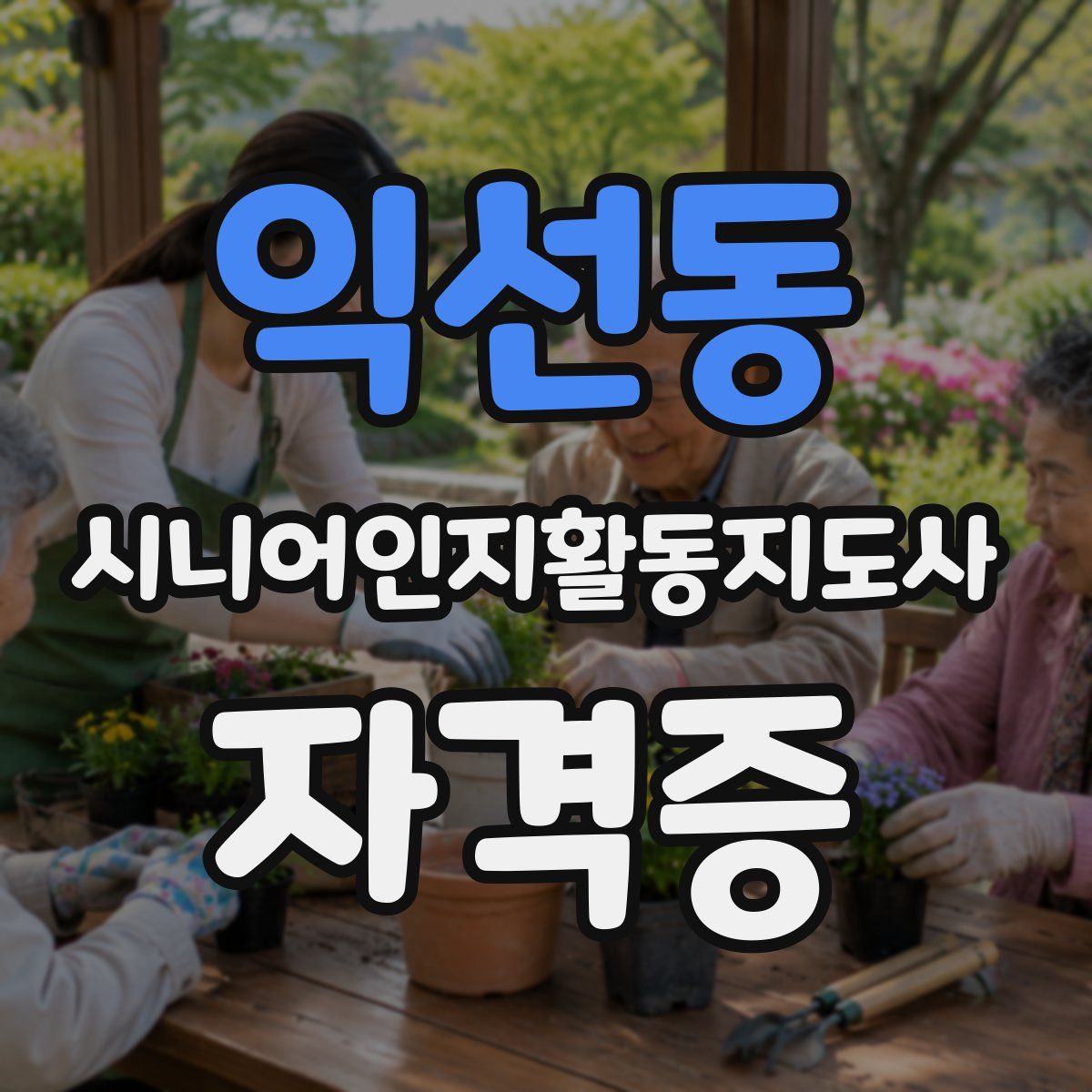 익선동 시니어인지활동지도사 자격증