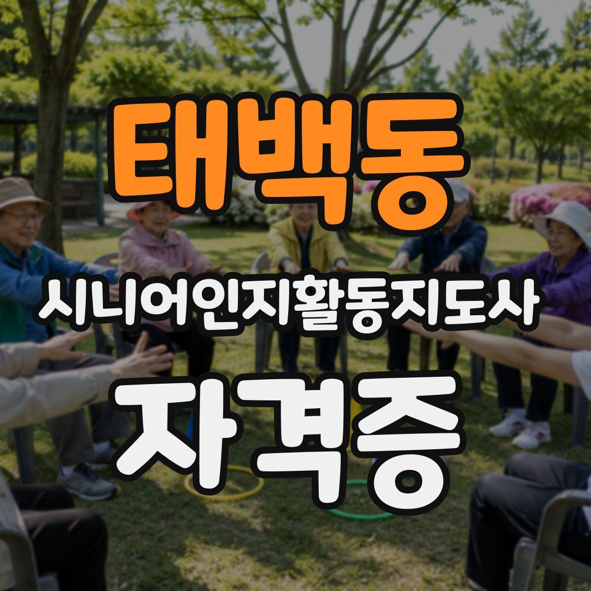 태백동 시니어인지활동지도사 자격증
