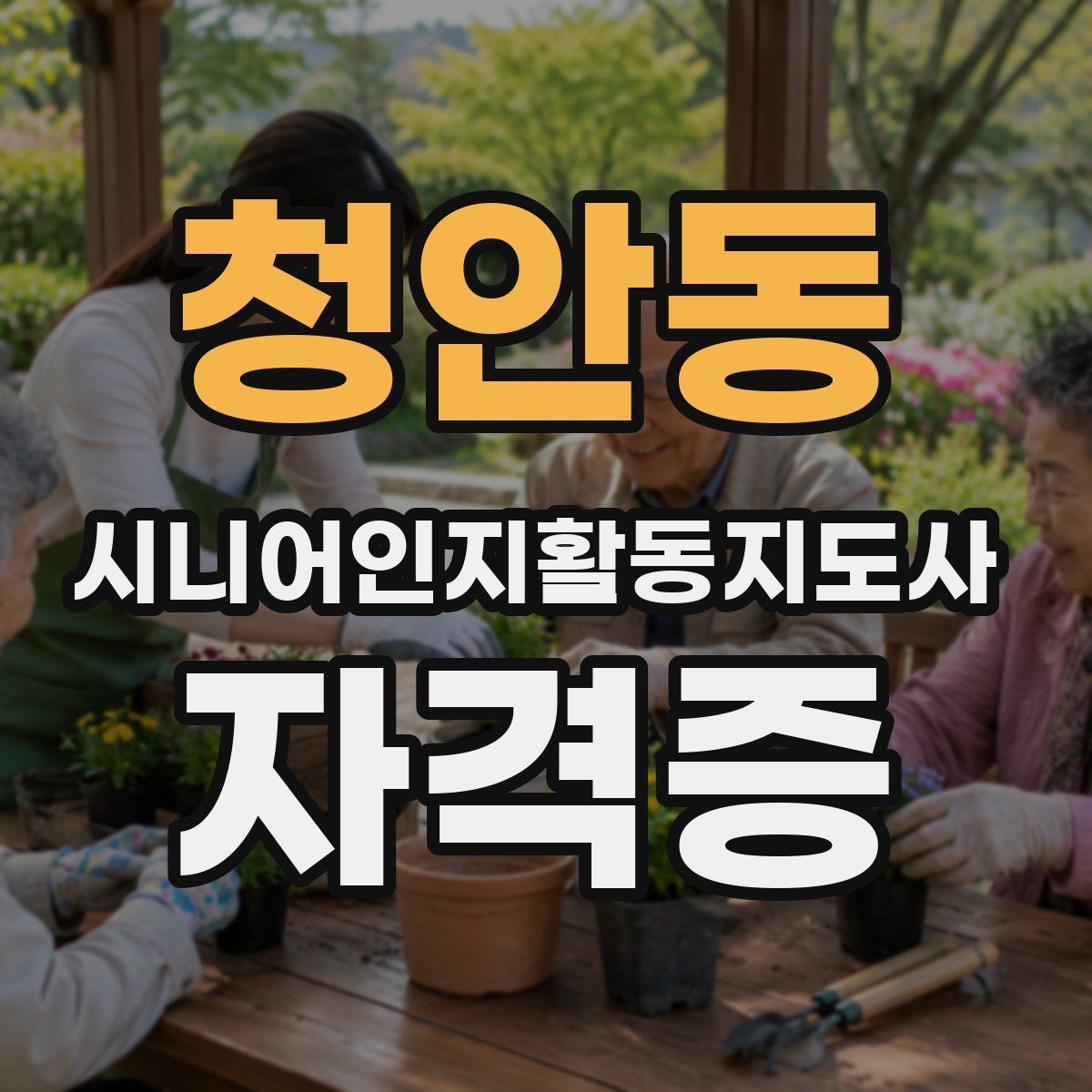 청안동 시니어인지활동지도사 자격증