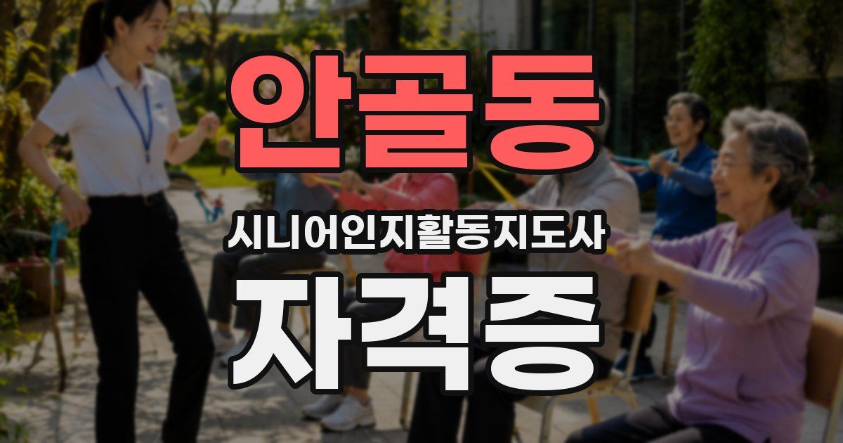 안골동 시니어인지활동지도사 자격증