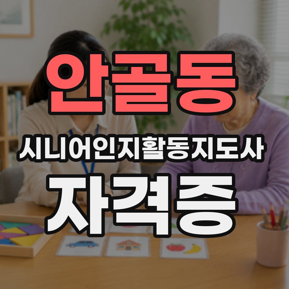 안골동 시니어인지활동지도사 자격증