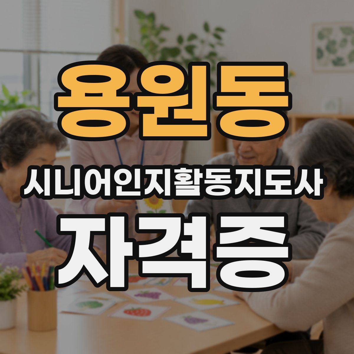 용원동 시니어인지활동지도사 자격증