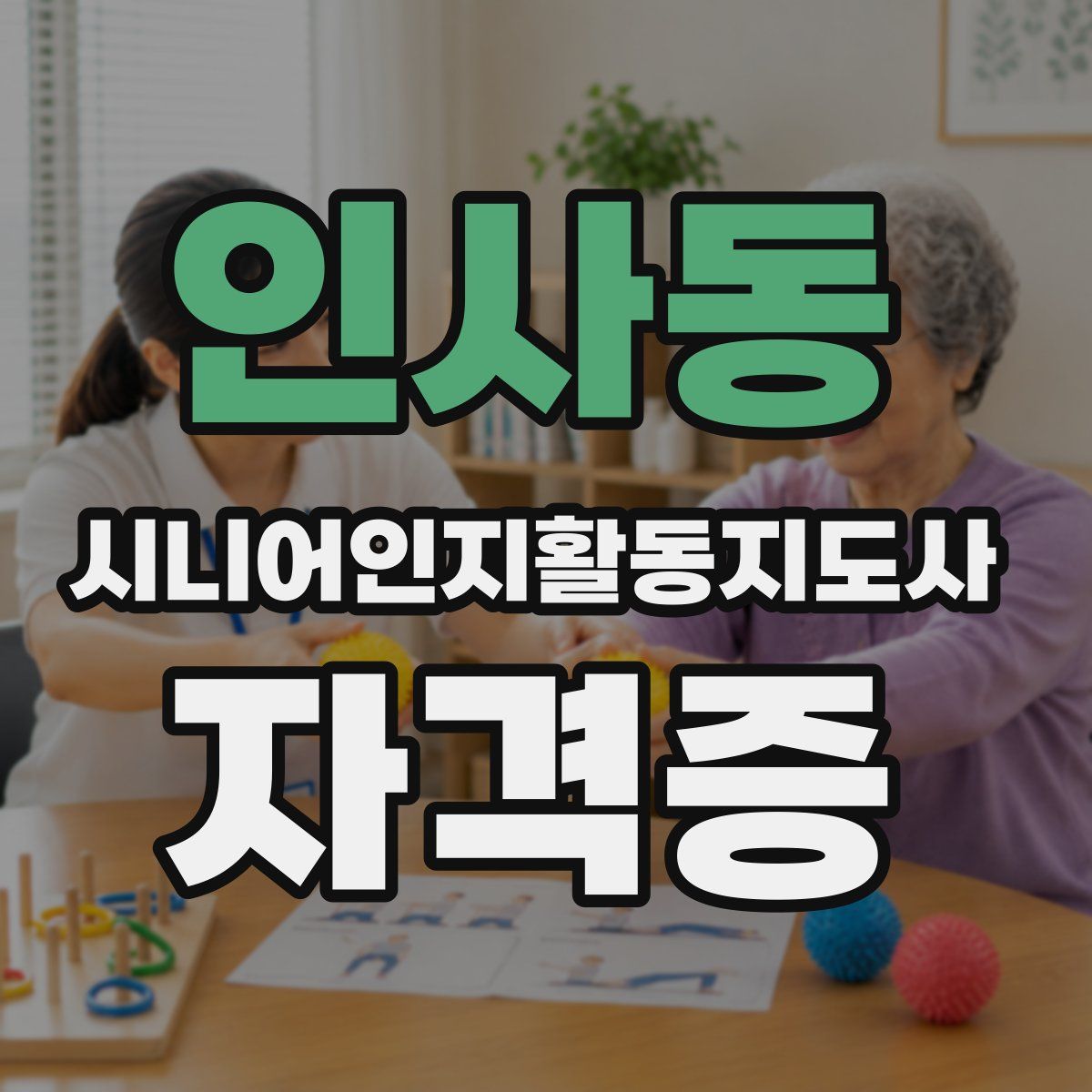 인사동 시니어인지활동지도사 자격증