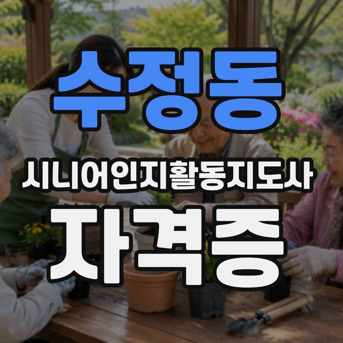 수정동 시니어인지활동지도사 자격증
