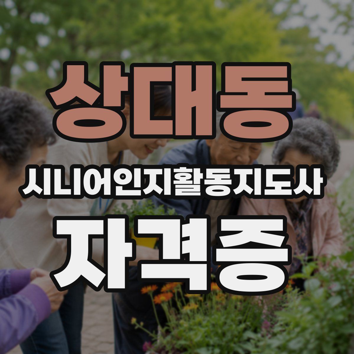 상대동 시니어인지활동지도사 자격증