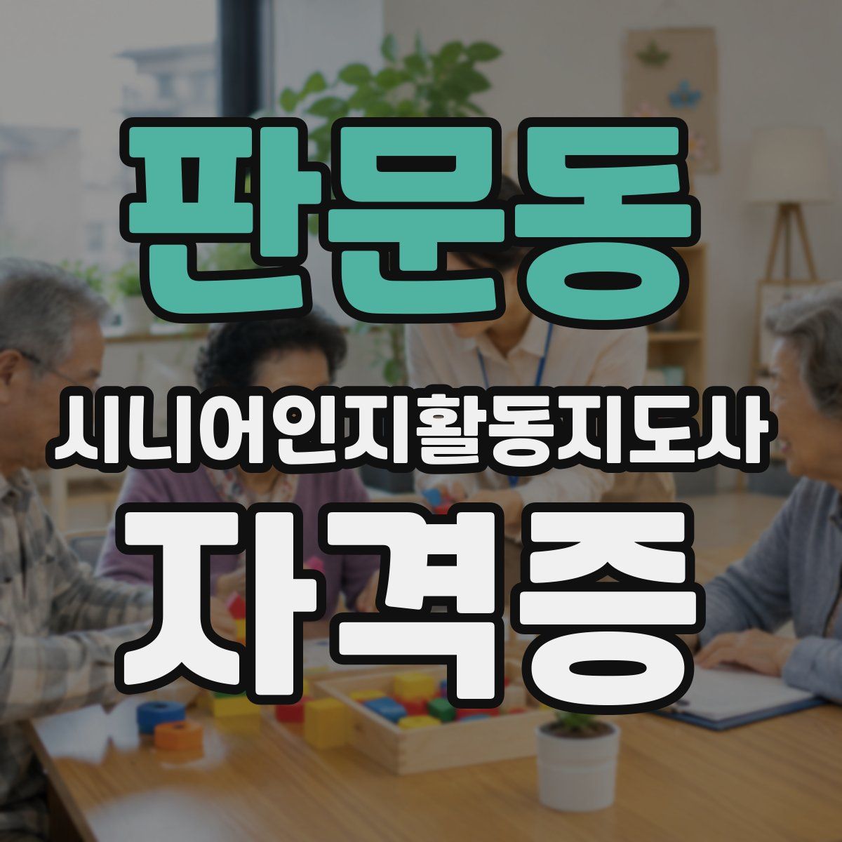 판문동 시니어인지활동지도사 자격증