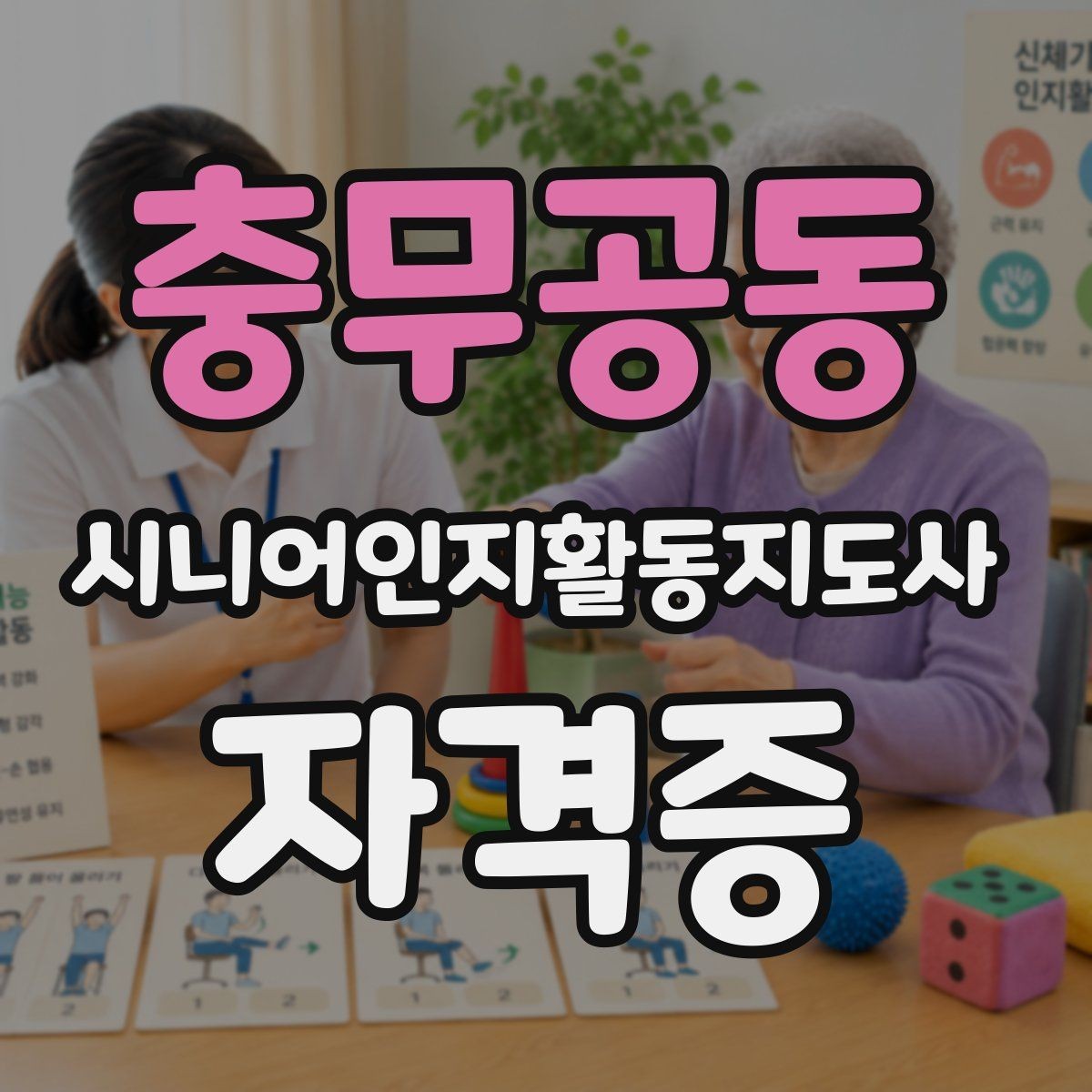 충무공동 시니어인지활동지도사 자격증 시험 과목별 특징 알아보기
