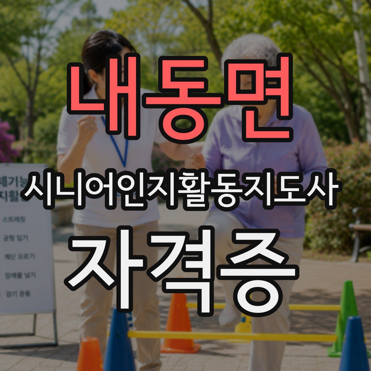 내동면 시니어인지활동지도사 자격증