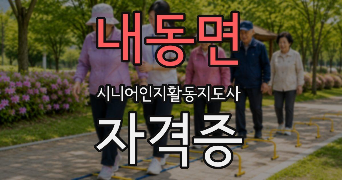 내동면 시니어인지활동지도사 자격증