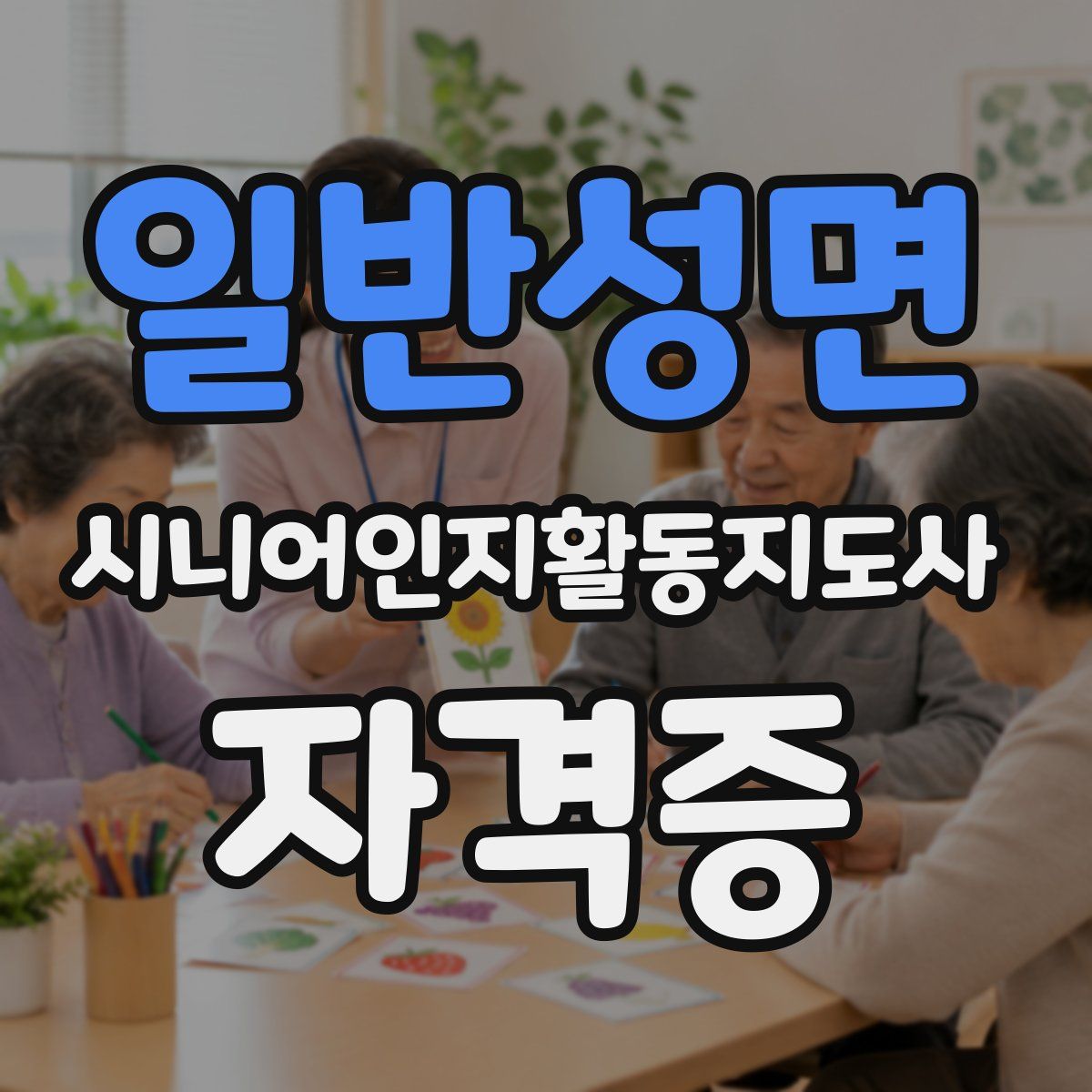 일반성면 시니어인지활동지도사 자격증
