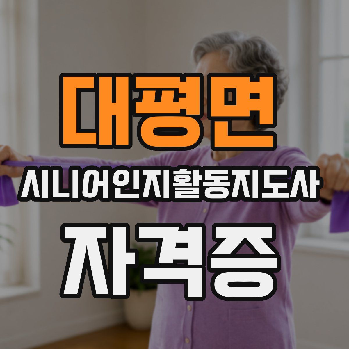 대평면 시니어인지활동지도사 자격증