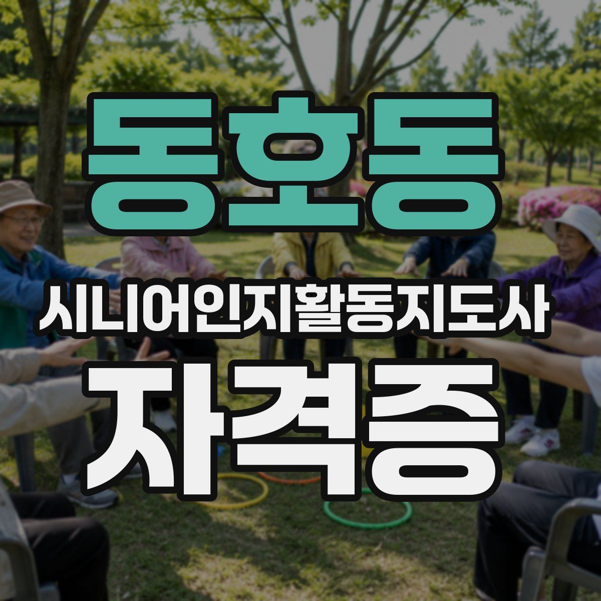 동호동 시니어인지활동지도사 자격증
