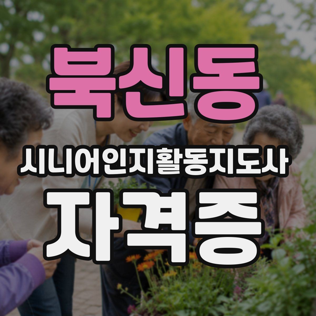북신동 시니어인지활동지도사 자격증 응시 전 체크해야 할 사항