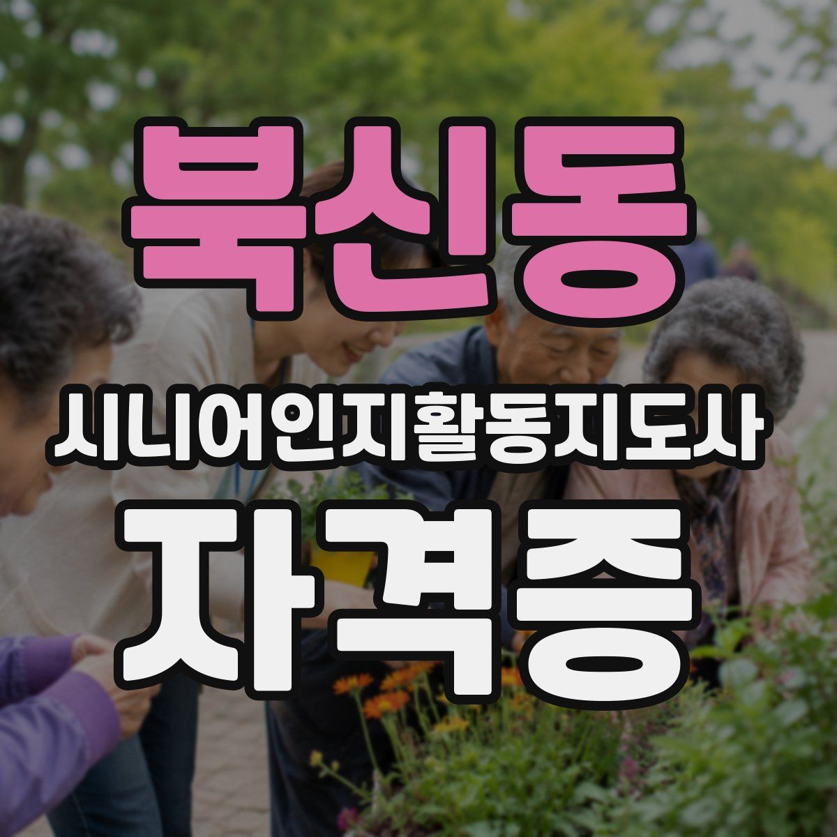 북신동 시니어인지활동지도사 자격증
