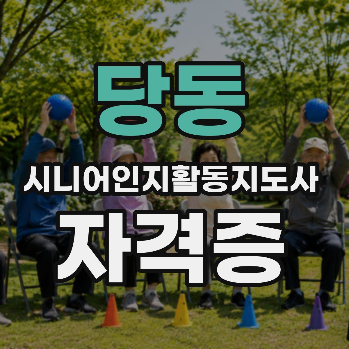 당동 시니어인지활동지도사 자격증
