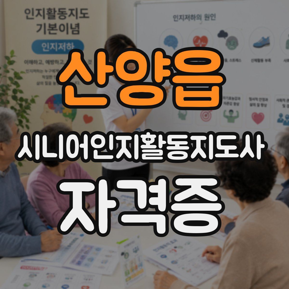 산양읍 시니어인지활동지도사 자격증