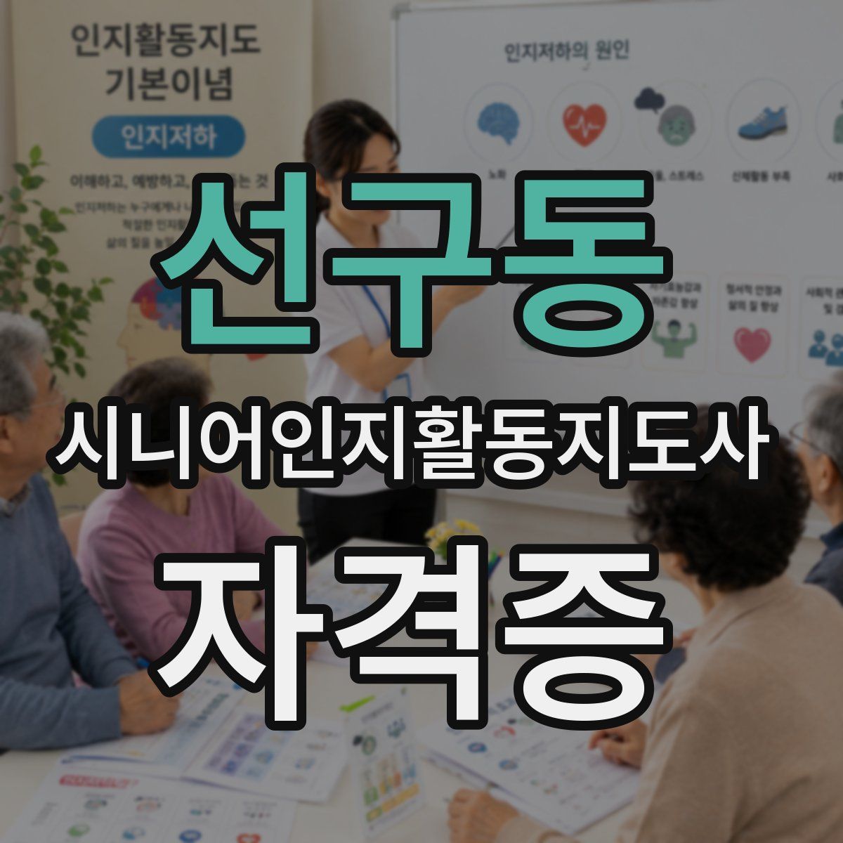 선구동 시니어인지활동지도사 자격증