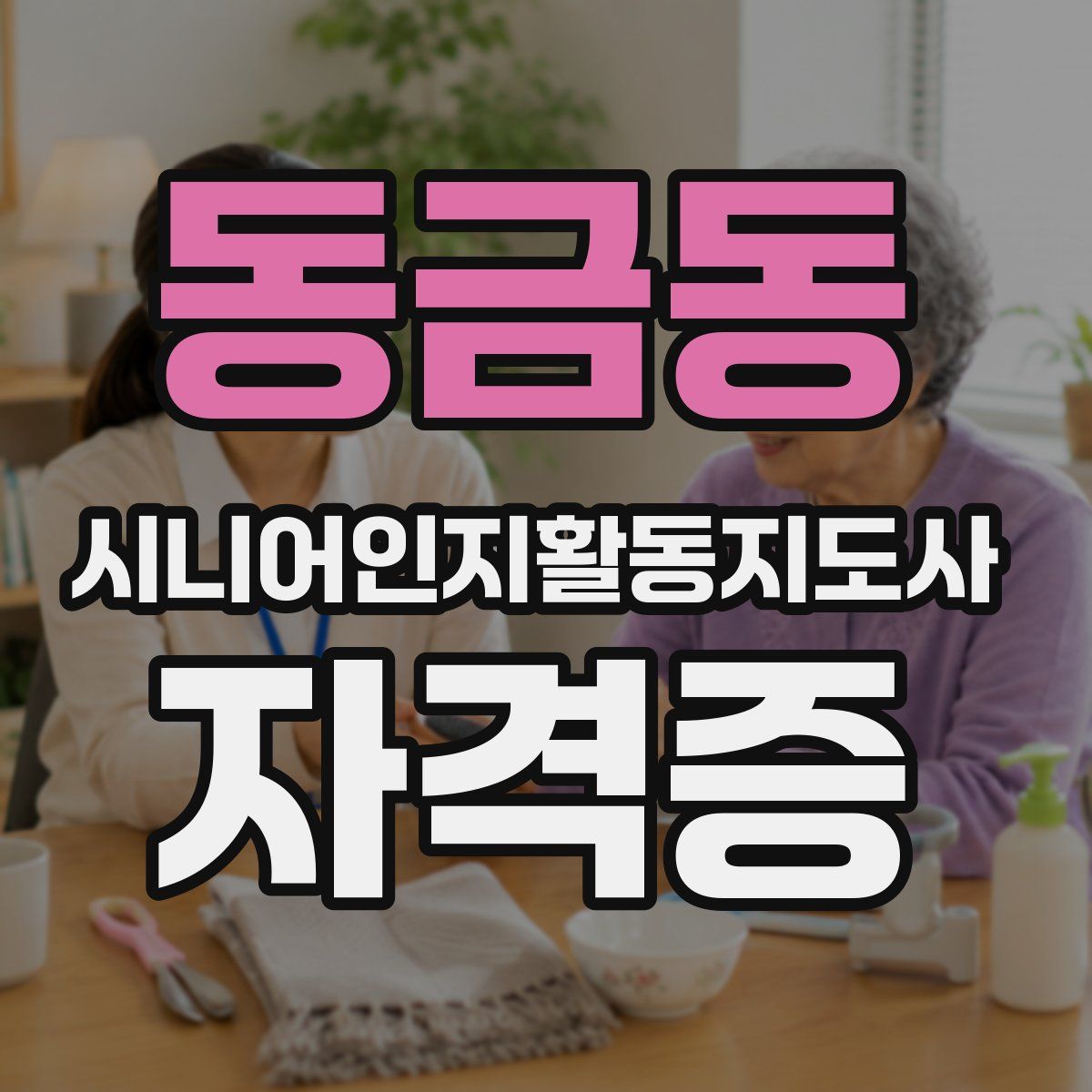 동금동 시니어인지활동지도사 자격증