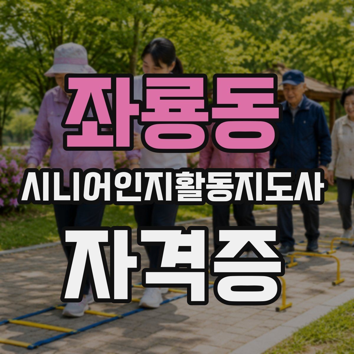 좌룡동 시니어인지활동지도사 자격증 시험과정에서 자주 묻는 질문