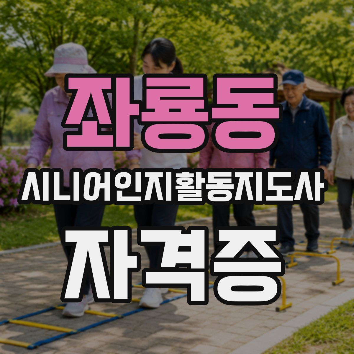 좌룡동 시니어인지활동지도사 자격증