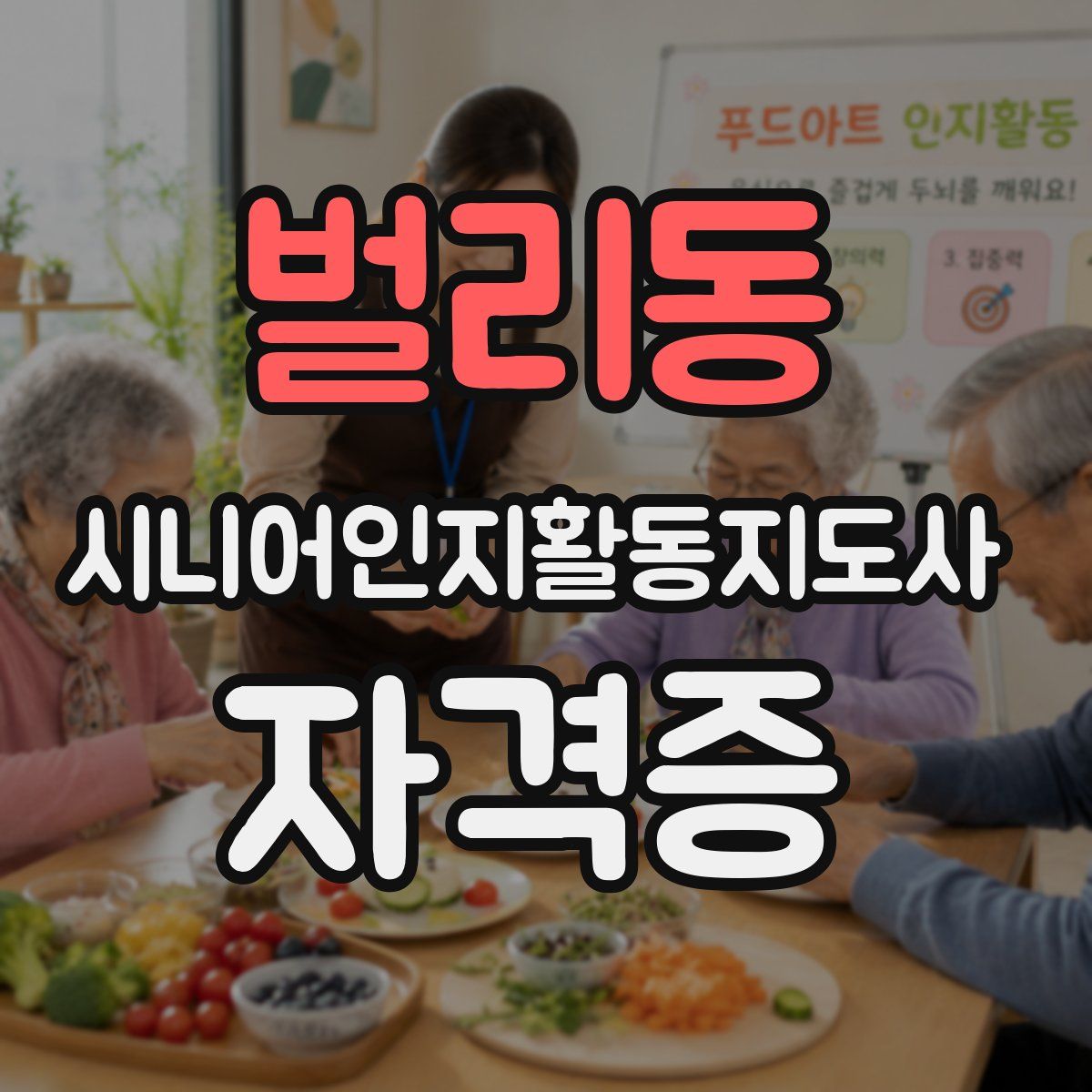 벌리동 시니어인지활동지도사 자격증