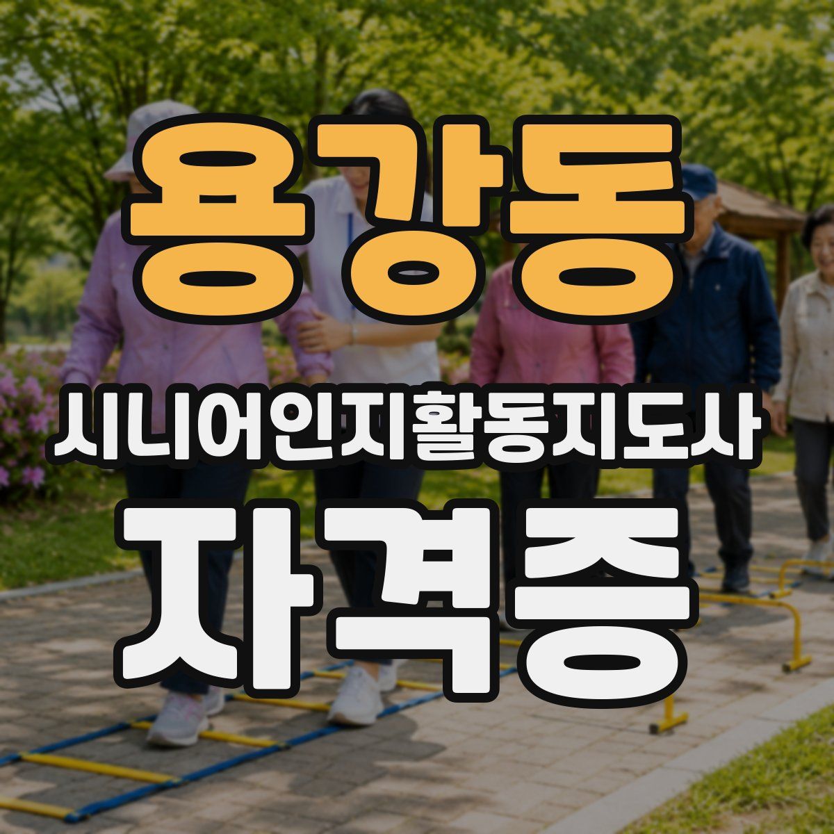 용강동 시니어인지활동지도사 자격증