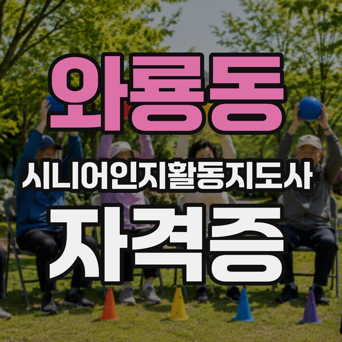 와룡동 시니어인지활동지도사 자격증