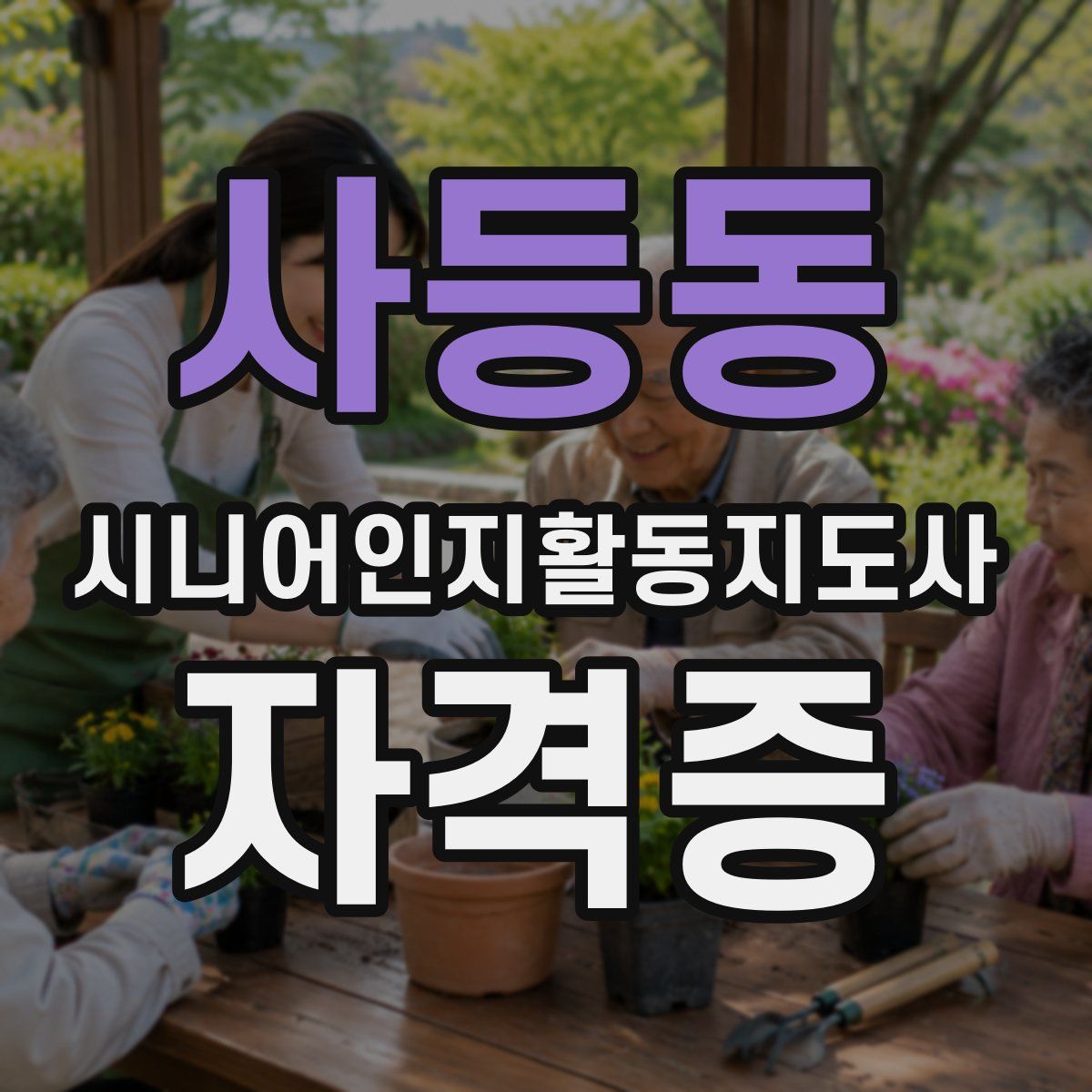 사등동 시니어인지활동지도사 자격증