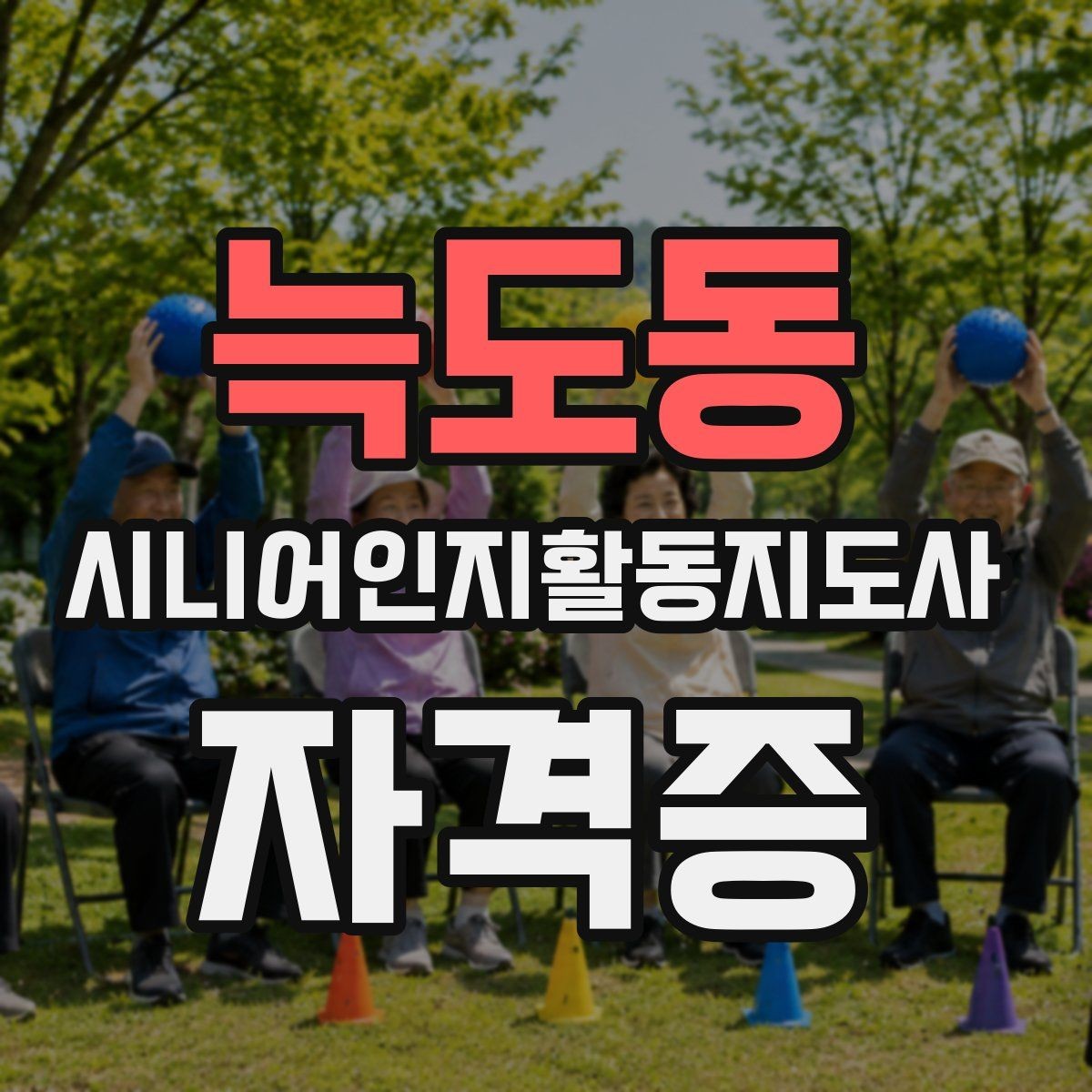 늑도동 시니어인지활동지도사 자격증 실전 대비에 필요한 핵심 요소