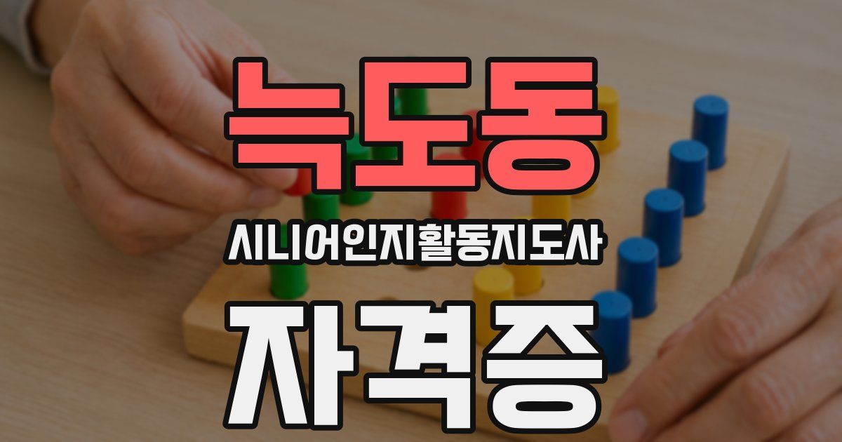 늑도동 시니어인지활동지도사 자격증