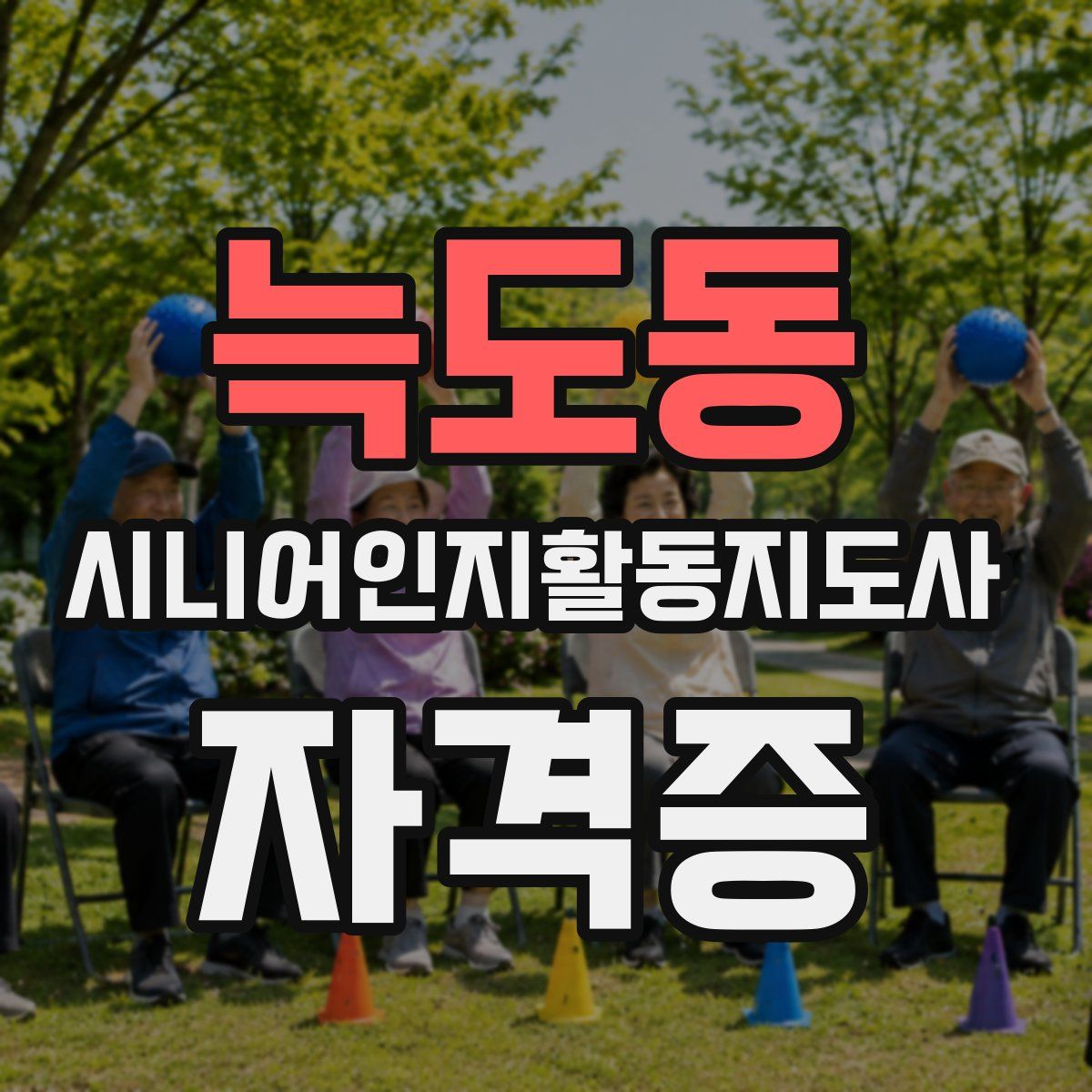 늑도동 시니어인지활동지도사 자격증