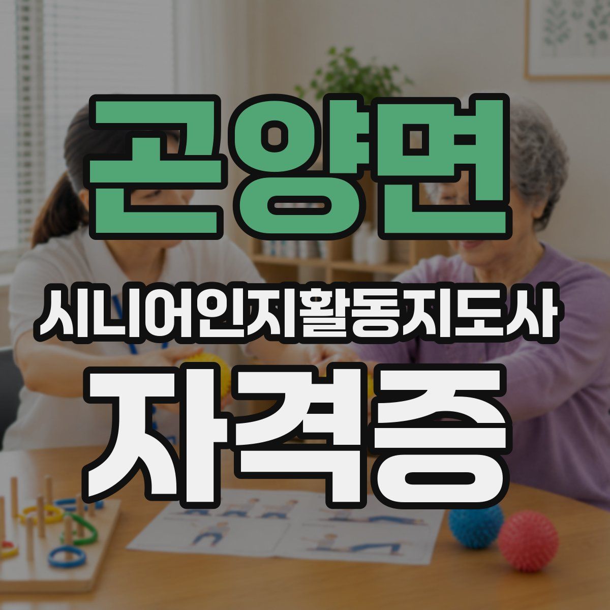 곤양면 시니어인지활동지도사 자격증