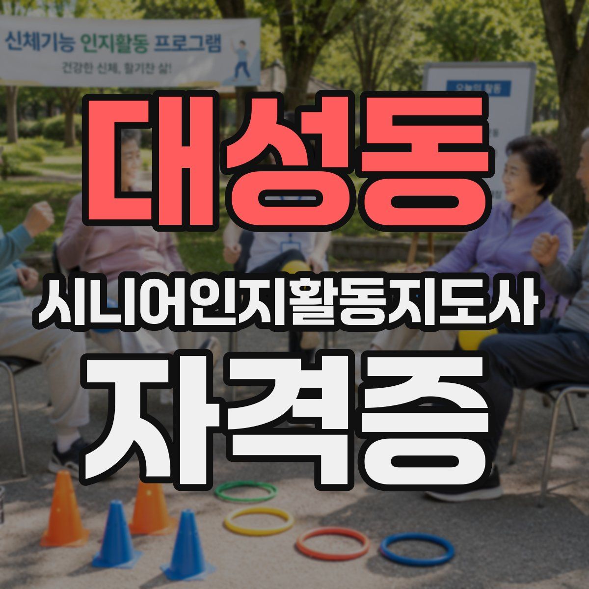 대성동 시니어인지활동지도사 자격증