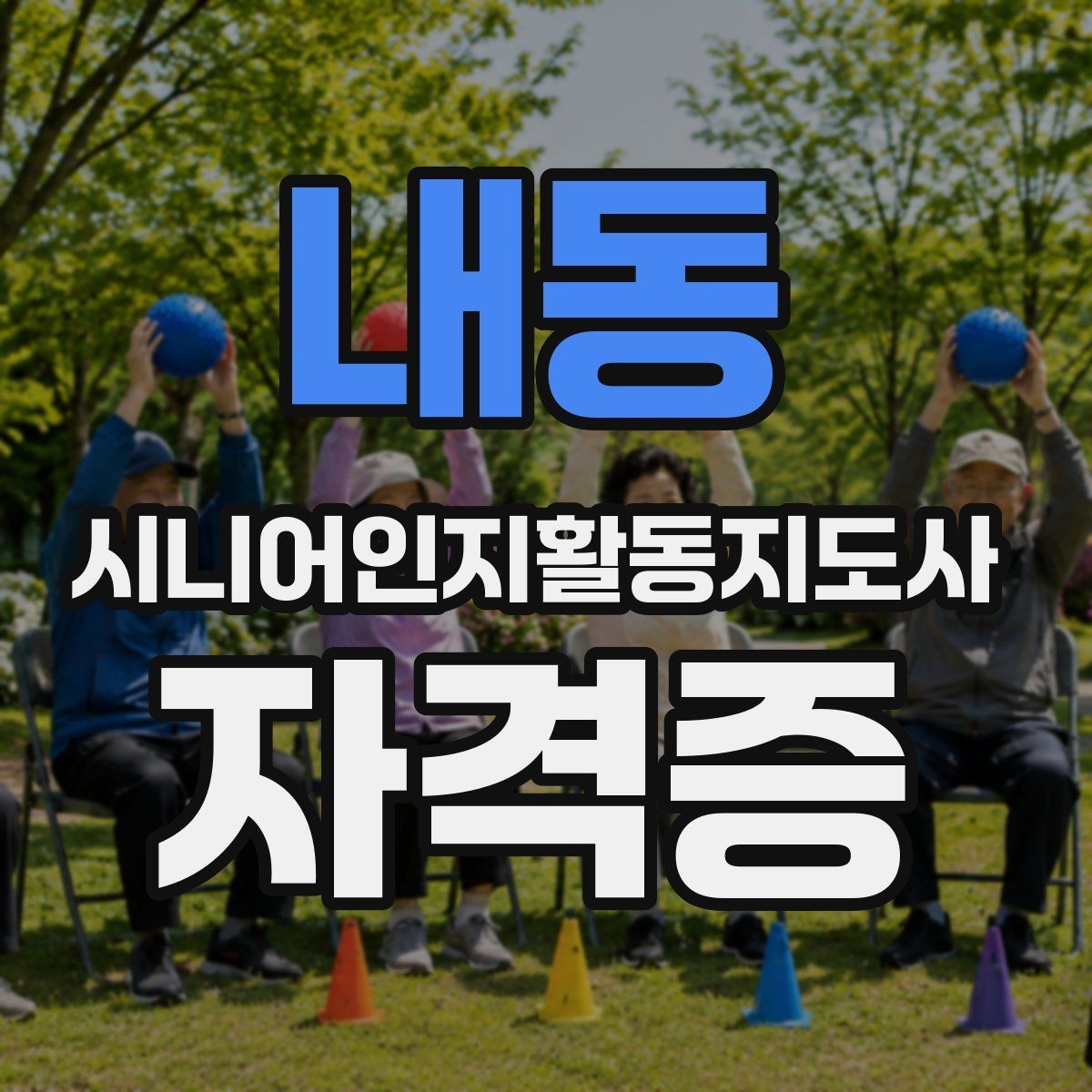 내동 시니어인지활동지도사 자격증 취득 목적별 준비법