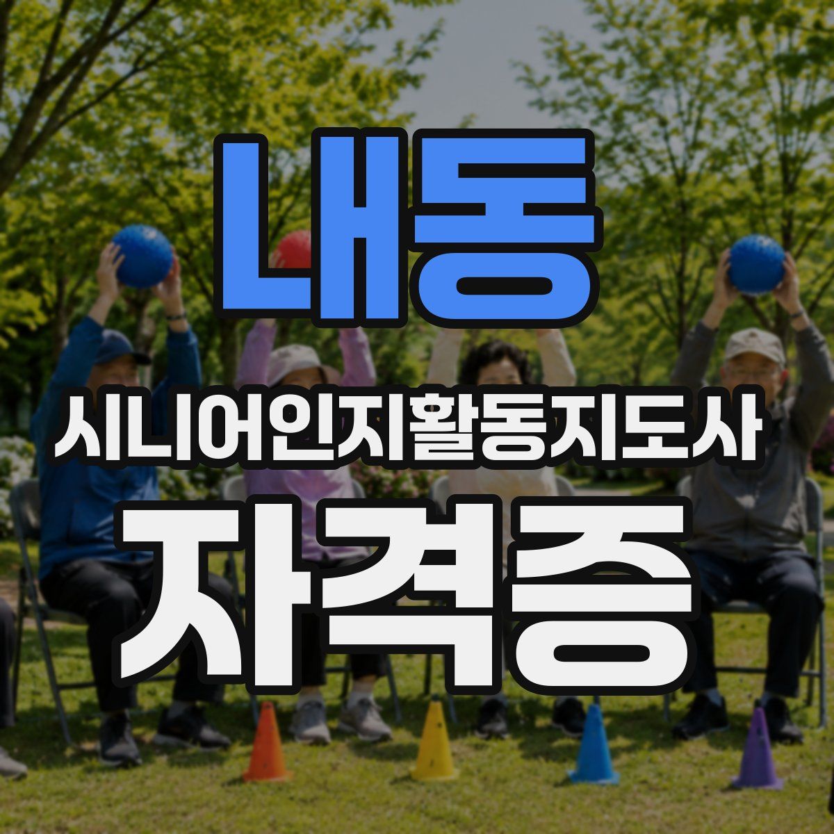 내동 시니어인지활동지도사 자격증