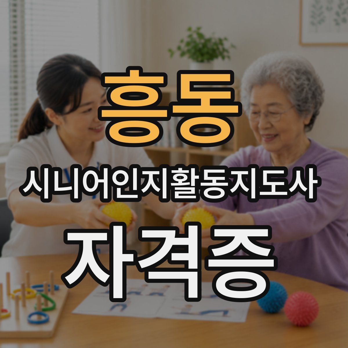 흥동 시니어인지활동지도사 자격증