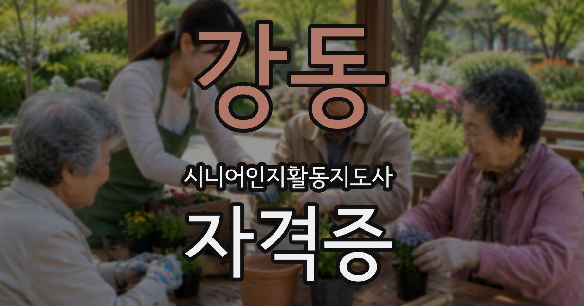 강동 시니어인지활동지도사 자격증