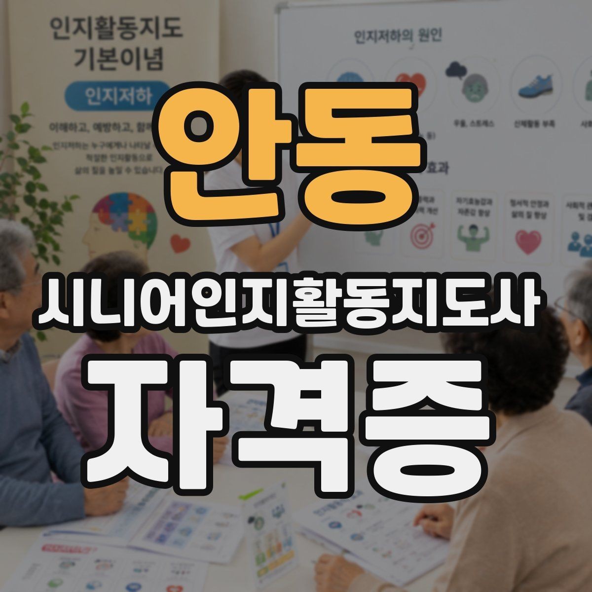 안동 시니어인지활동지도사 자격증 수요가 늘어나는 이유