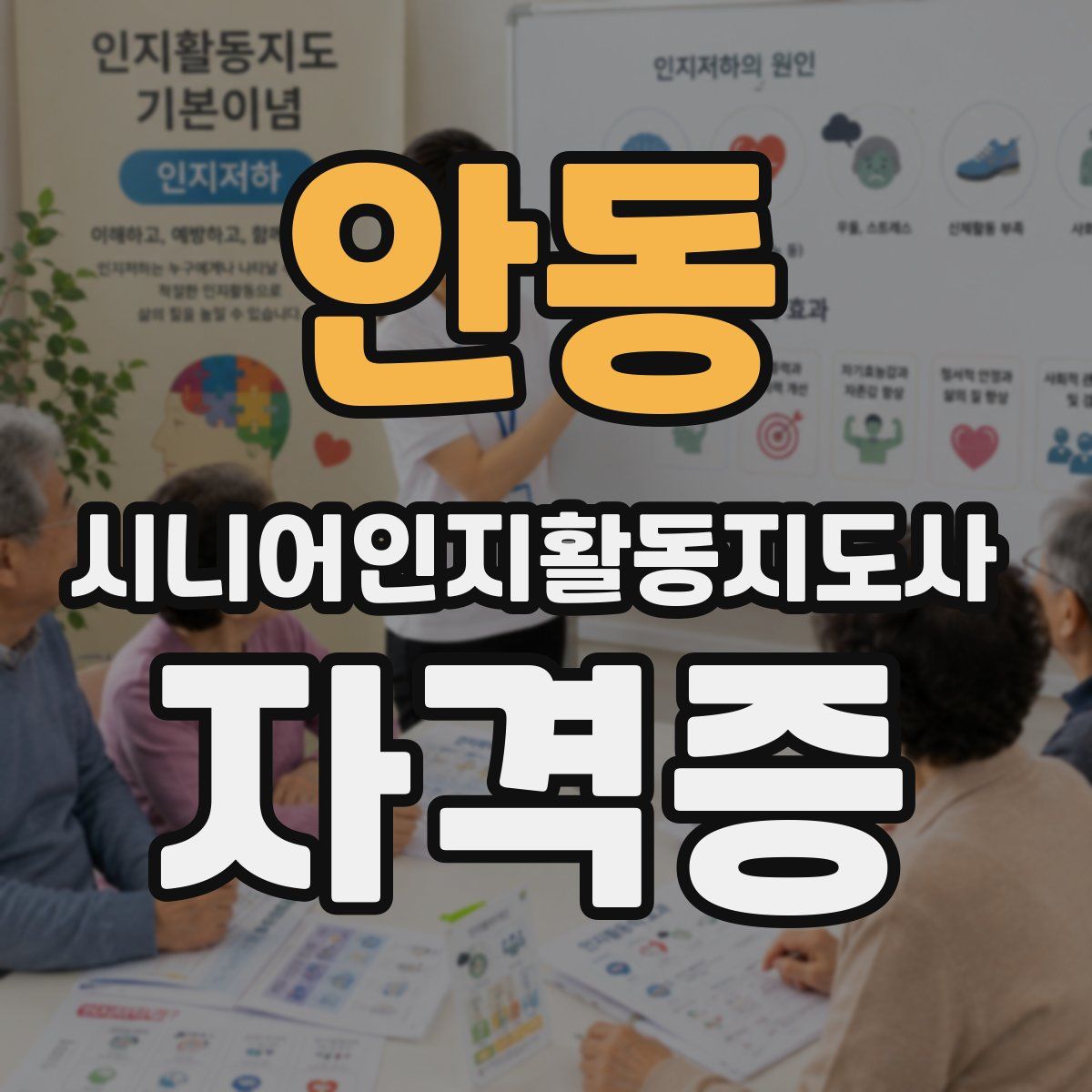 안동 시니어인지활동지도사 자격증