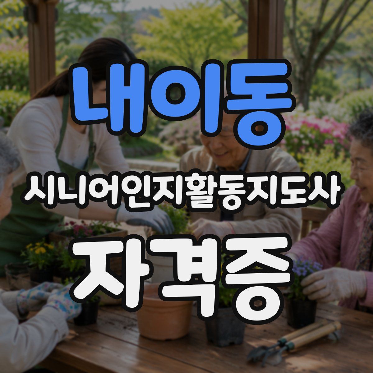 내이동 시니어인지활동지도사 자격증