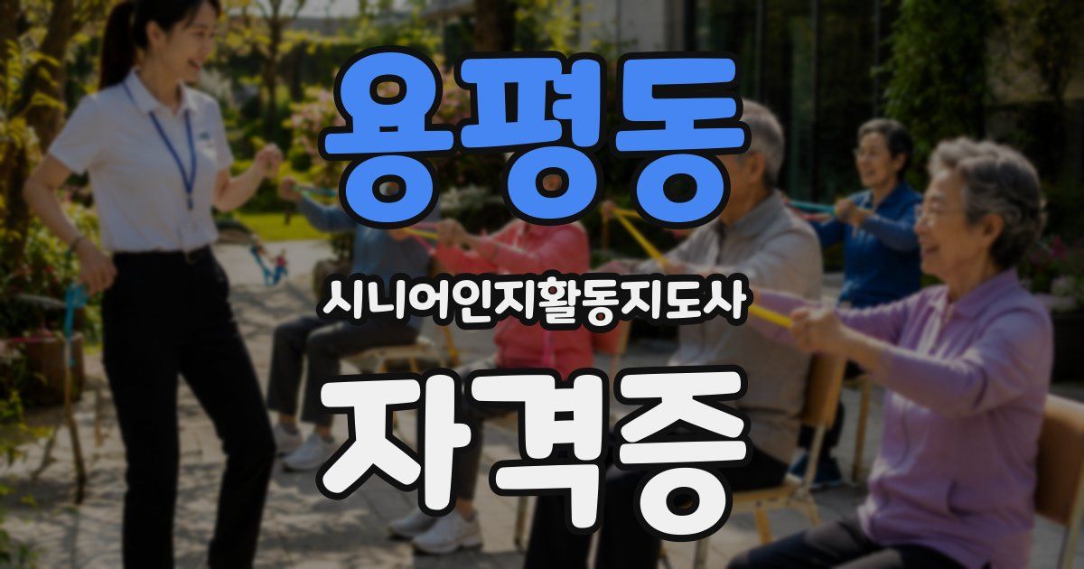 용평동 시니어인지활동지도사 자격증