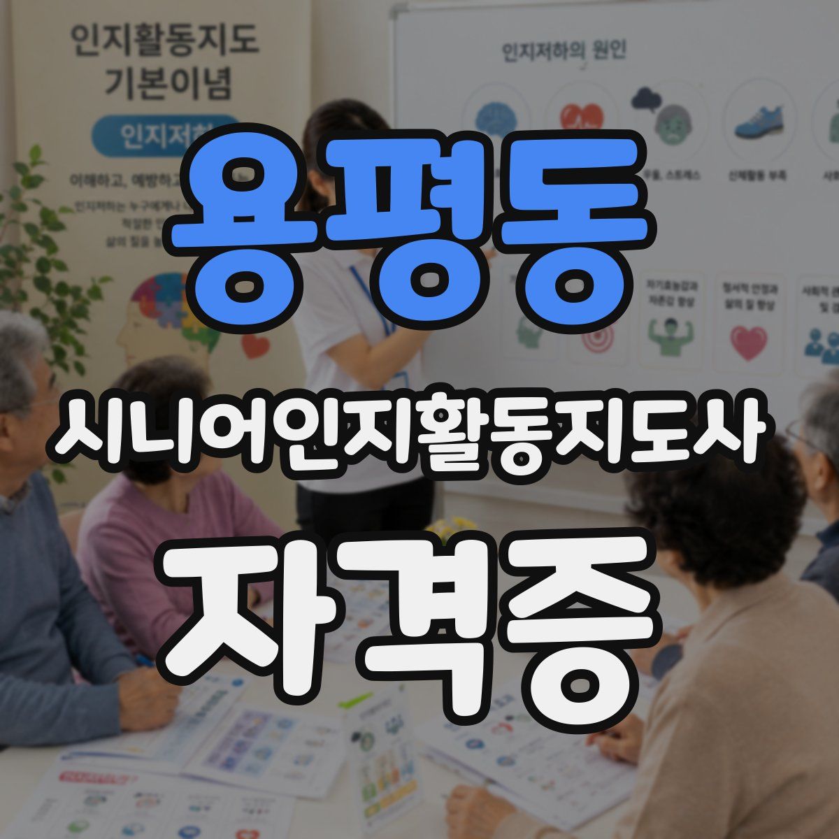 용평동 시니어인지활동지도사 자격증