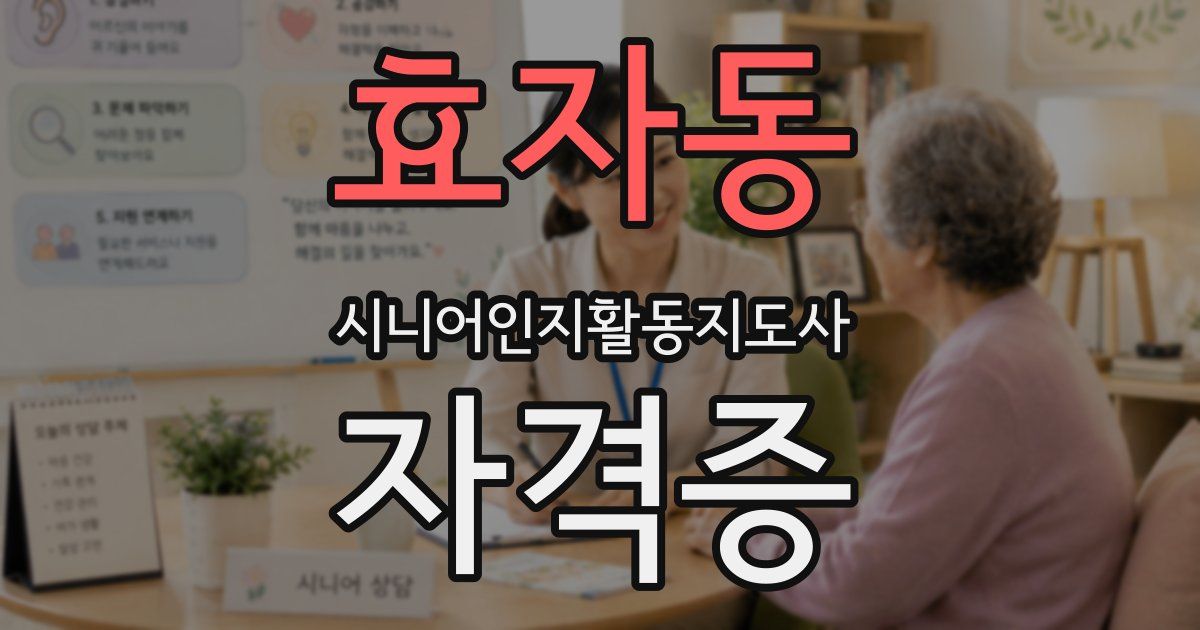효자동 시니어인지활동지도사 자격증